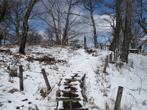 20160218hike (248)